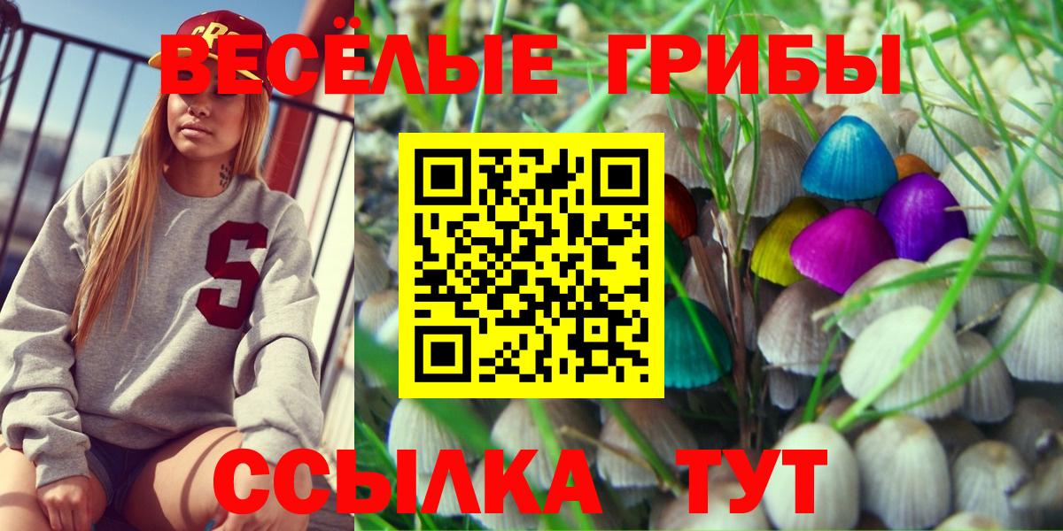 Галлюциногенные грибы мухоморы Клинцы