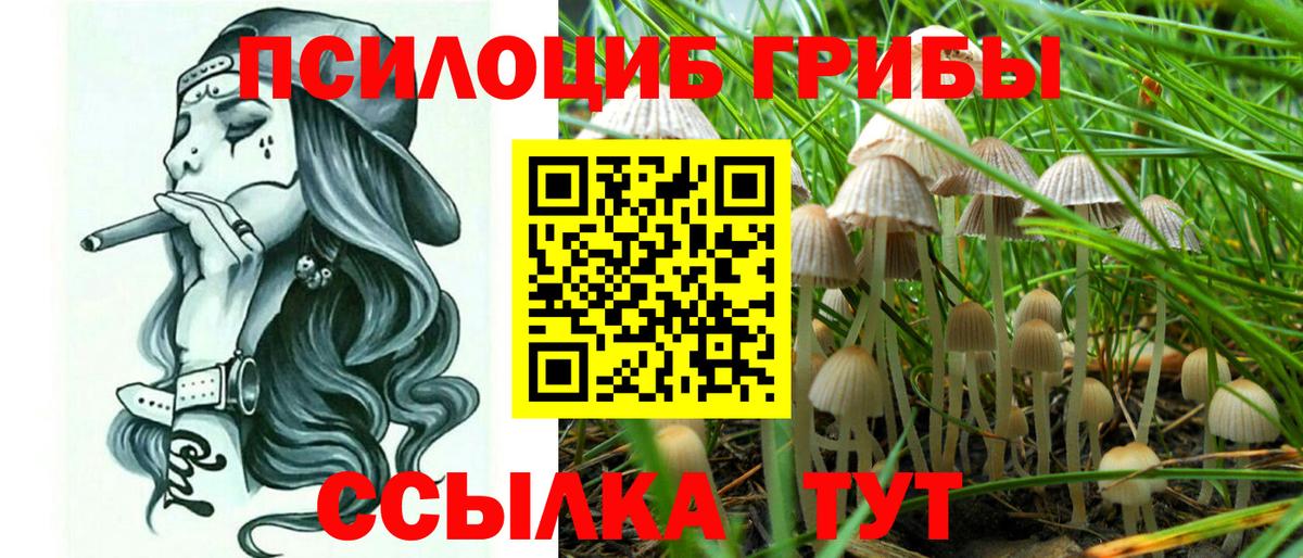 Псилоцибиновые грибы Magic Shrooms  Вход с VPN  Клинцы 