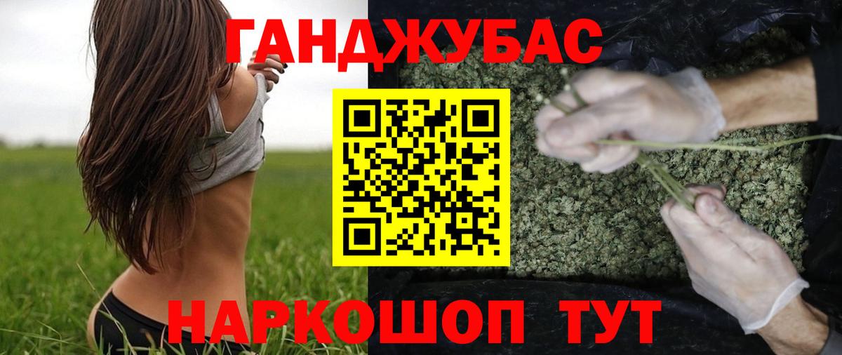 Конопля план  Шишки марихуана Bruce Banner  Клинцы  Марихуана OG Kush  Вход с VPN 